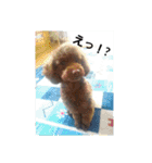 まみーねね（個別スタンプ：4）
