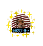 まみーねね（個別スタンプ：5）