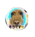 まみーねね（個別スタンプ：6）