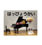 まみーねね（個別スタンプ：17）