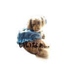 まみーねね（個別スタンプ：19）