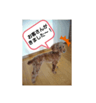 まみーねね（個別スタンプ：24）