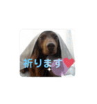 まみーねね（個別スタンプ：35）
