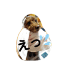 まみーねね（個別スタンプ：37）