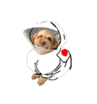 そら.y（個別スタンプ：2）