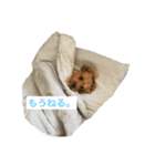 そら.y（個別スタンプ：6）