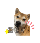 しばとはな（個別スタンプ：7）