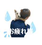 しばとはな（個別スタンプ：8）