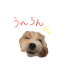 リーチと愉快な仲間たち2（個別スタンプ：5）