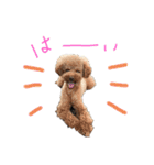 リーチと愉快な仲間たち2（個別スタンプ：9）