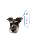 リーチと愉快な仲間たち2（個別スタンプ：14）