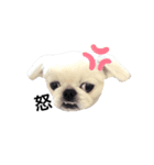 僕ちゃん ゆきまる（個別スタンプ：6）