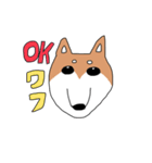 柴犬と狆（個別スタンプ：2）