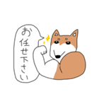 柴犬と狆（個別スタンプ：7）