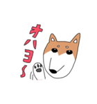 柴犬と狆（個別スタンプ：8）