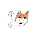 柴犬と狆（個別スタンプ：14）