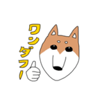 柴犬と狆（個別スタンプ：16）