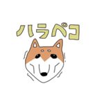 柴犬と狆（個別スタンプ：21）