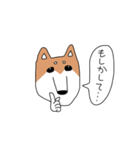 柴犬と狆（個別スタンプ：27）