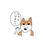 柴犬と狆（個別スタンプ：29）