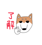 柴犬と狆（個別スタンプ：38）