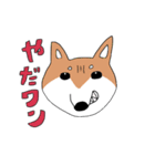 柴犬と狆（個別スタンプ：40）