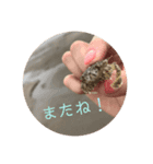 砂浜の叫び。（個別スタンプ：11）