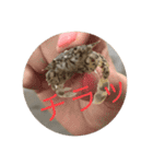 砂浜の叫び。（個別スタンプ：12）