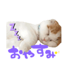 癒しのあまこ（個別スタンプ：1）