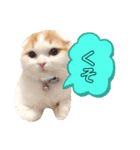 癒しのあまこ（個別スタンプ：2）