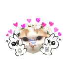 癒しのあまこ（個別スタンプ：4）