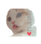 癒しのあまこ（個別スタンプ：5）