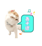 癒しのあまこ（個別スタンプ：6）
