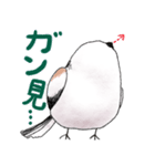 もっちりシマエナガさん（個別スタンプ：5）