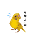 ぼく、ぷーすけ2（個別スタンプ：19）