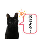 犬、ねこるんるんるん（個別スタンプ：3）