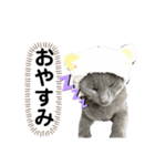 犬、ねこるんるんるん（個別スタンプ：4）
