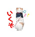 犬、ねこるんるんるん（個別スタンプ：7）