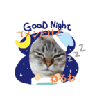 友達の少ないねこ（個別スタンプ：2）