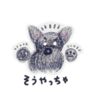 宮崎弁の黒シュナ「ステラ」（個別スタンプ：2）