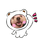 マルプーの桃2（個別スタンプ：6）