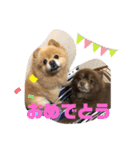 トラジ＆ポンズ（個別スタンプ：8）