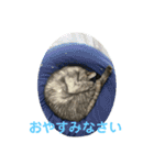 ききんのスタンプ（個別スタンプ：3）
