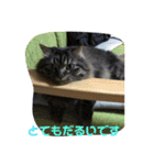 ききんのスタンプ（個別スタンプ：10）