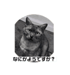 ききんのスタンプ（個別スタンプ：11）
