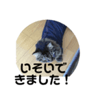 ききんのスタンプ（個別スタンプ：12）