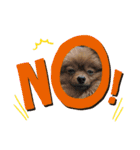 mocotamp（個別スタンプ：10）