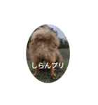 mocotamp（個別スタンプ：14）