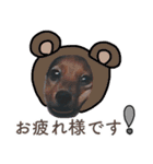 子犬のタロー（個別スタンプ：3）