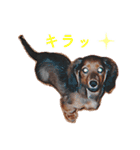 子犬のタロー（個別スタンプ：19）